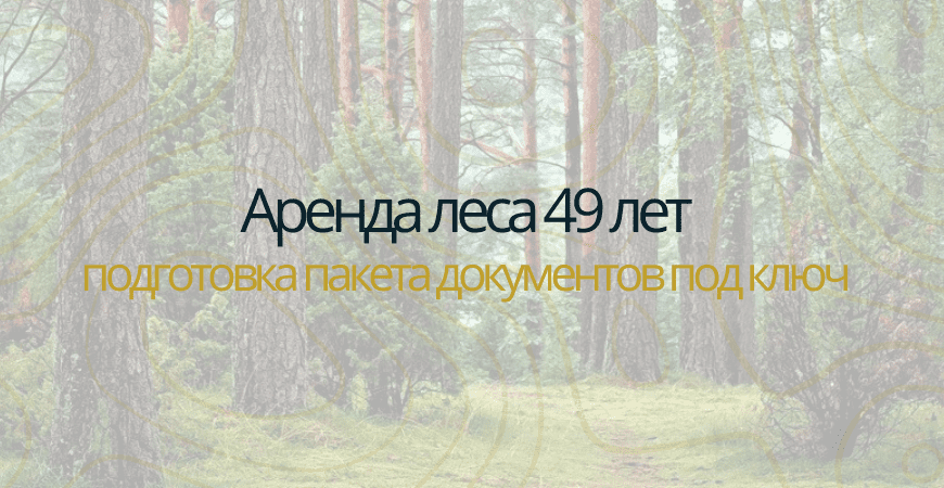 Аренда леса на 49 лет в Саратове