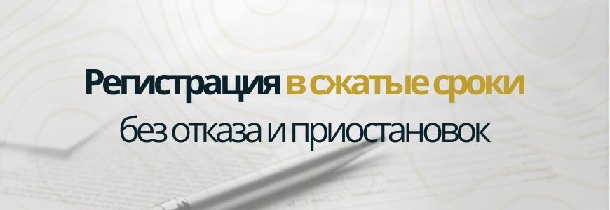 Регистрация в сжатые сроки под ключ в селе Булгаковка